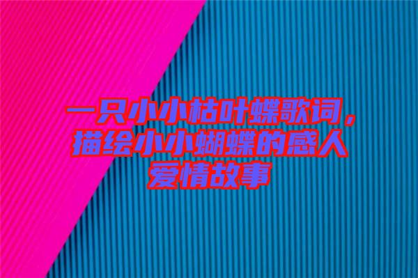 一只小小枯葉蝶歌詞,描繪小小蝴蝶的感人愛情故事