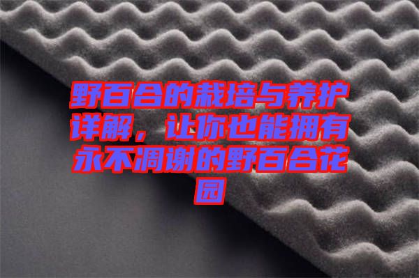 野百合的栽培與養(yǎng)護(hù)詳解，讓你也能擁有永不凋謝的野百合花園