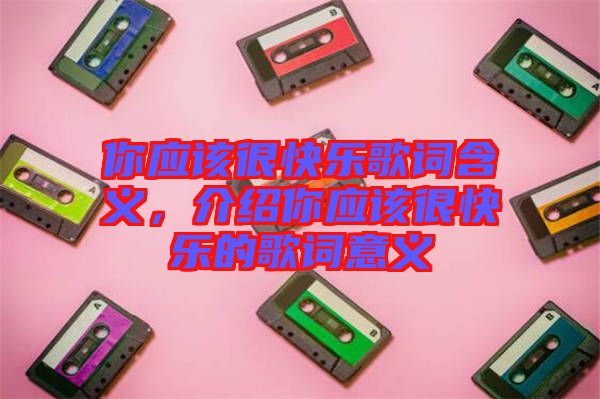 你應該很快樂歌詞含義,介紹你應該很快樂的歌詞意義