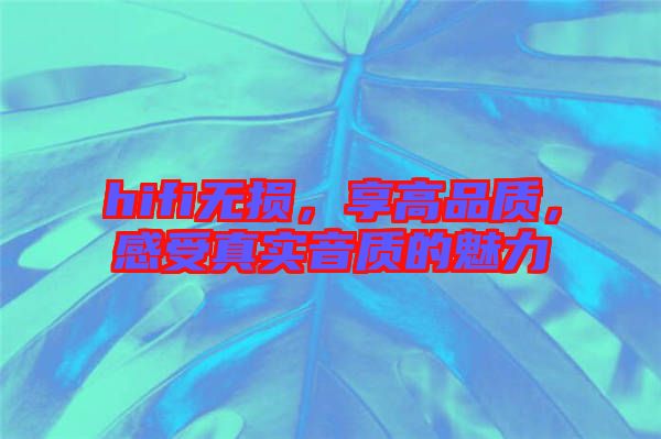 hifi無(wú)損,享高品質(zhì),感受真實(shí)音質(zhì)的魅力