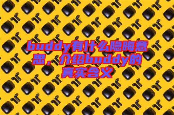 buddy有什么隱晦意思,介紹buddy的真實含義