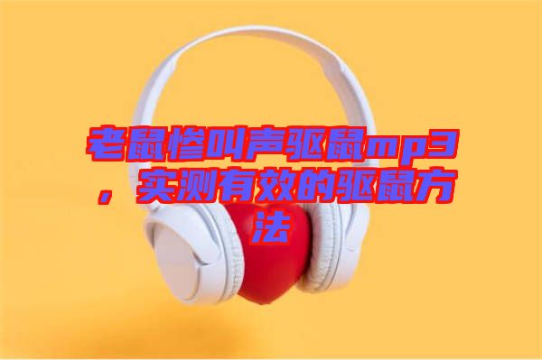 老鼠慘叫聲驅鼠mp3，實測有效的驅鼠方法