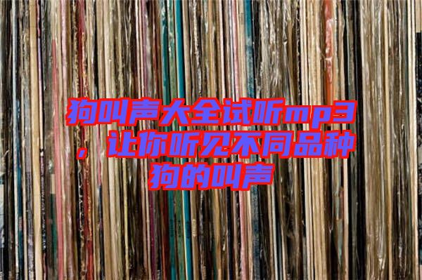 狗叫聲大全試聽mp3，讓你聽見不同品種狗的叫聲