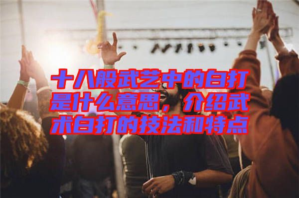十八般武藝中的白打是什么意思,介紹武術(shù)白打的技法和特點