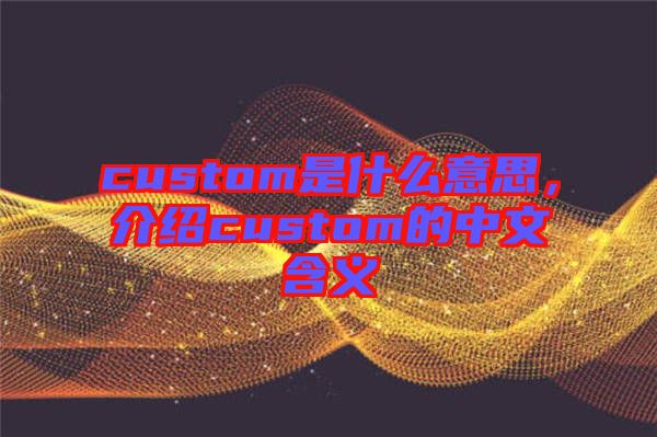custom是什么意思,介紹custom的中文含義