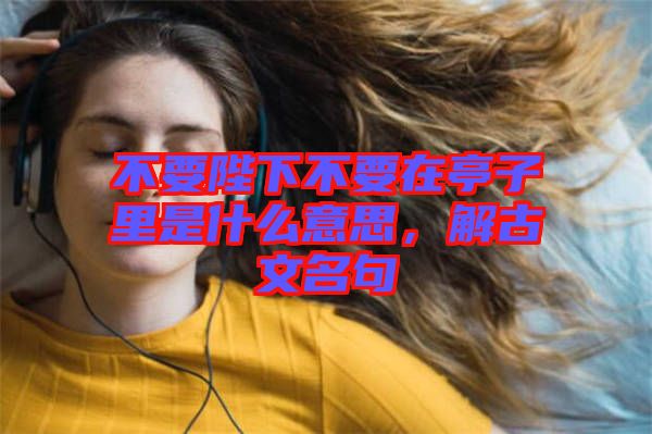 不要陛下不要在亭子里是什么意思，解古文名句