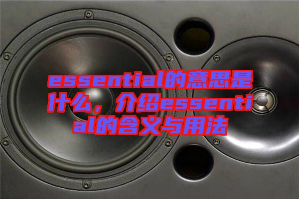 essential的意思是什么,介紹essential的含義與用法