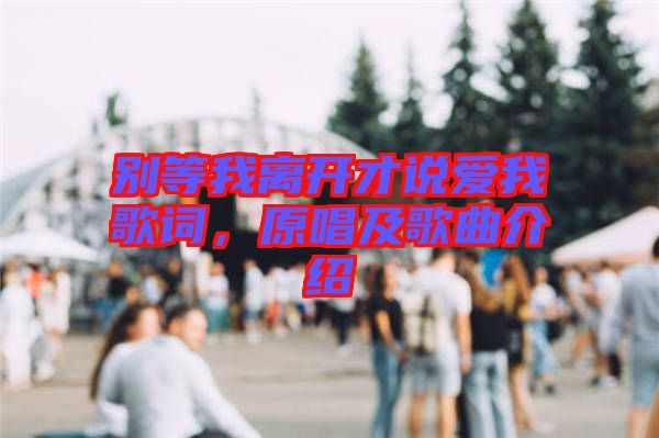 別等我離開才說愛我歌詞,原唱及歌曲介紹