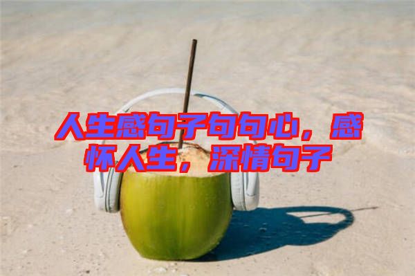 人生感句子句句心,感懷人生,深情句子