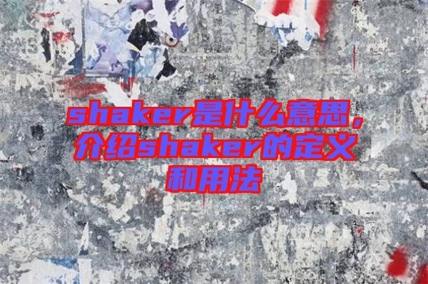 shaker是什么意思,介紹shaker的定義和用法