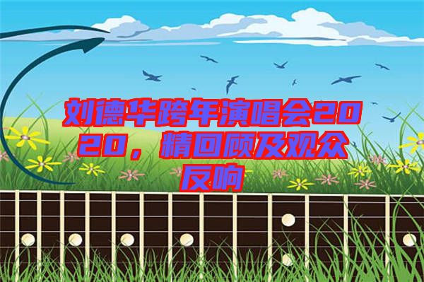 劉德華跨年演唱會2020,精回顧及觀眾反響