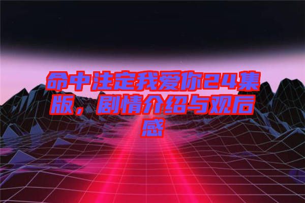 命中注定我愛你24集版,劇情介紹與觀后感