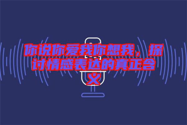 你說你愛我你想我，探討情感表達的真正含義