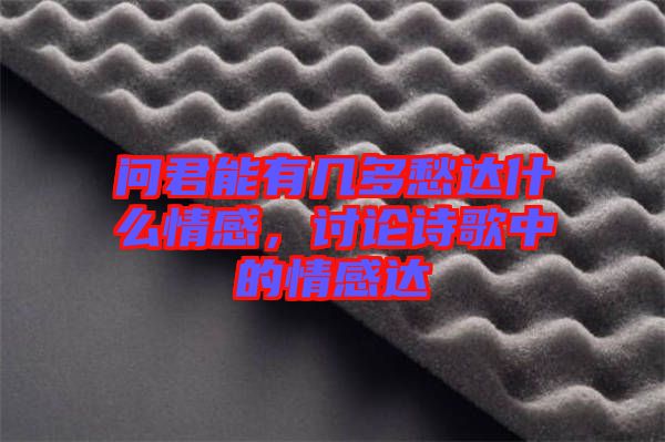 問君能有幾多愁達什么情感,討論詩歌中的情感達