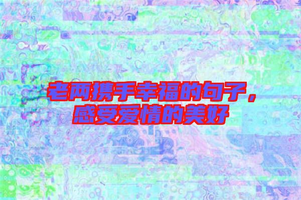 老兩攜手幸福的句子,感受愛(ài)情的美好