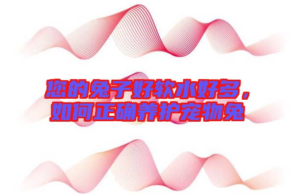 您的兔子好軟水好多,如何正確養護寵物兔