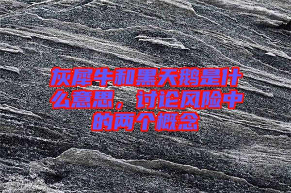 灰犀牛和黑天鵝是什么意思,討論風(fēng)險(xiǎn)中的兩個(gè)概念