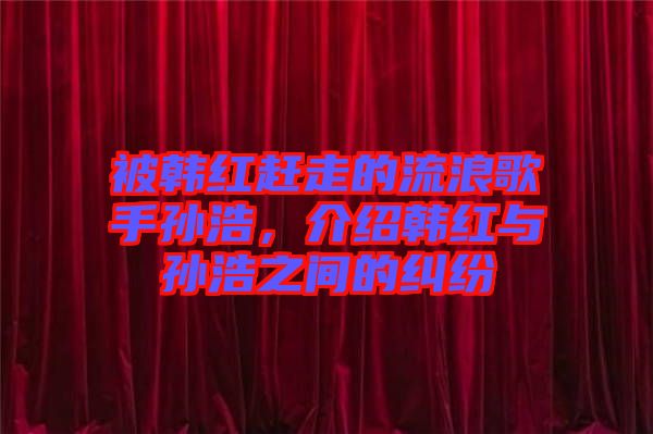 被韓紅趕走的流浪歌手孫浩,介紹韓紅與孫浩之間的糾紛