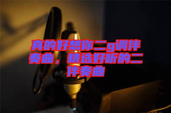 真的好想你二g調伴奏曲，精選好聽的二伴奏曲