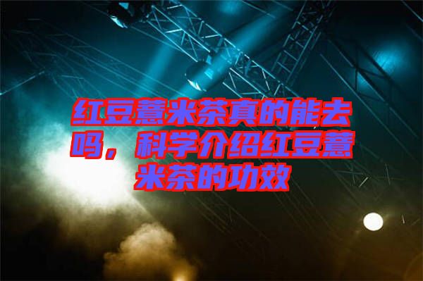 紅豆薏米茶真的能去嗎,科學(xué)介紹紅豆薏米茶的功效