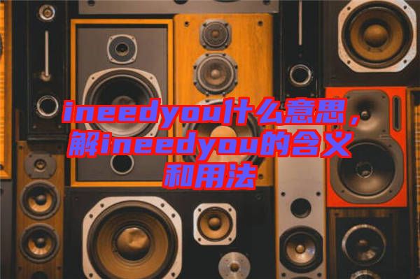 ineedyou什么意思,解ineedyou的含義和用法