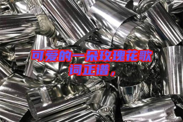 可愛的一朵玫瑰花歌詞正譜,