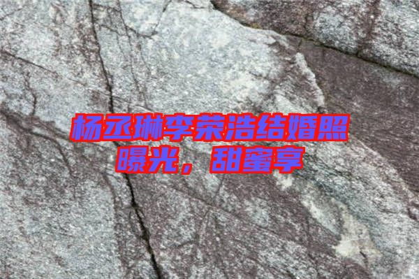 楊丞琳李榮浩結婚照曝光,甜蜜享