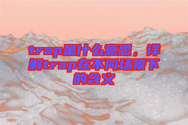 trap是什么意思,詳解trap在不同場景下的含義