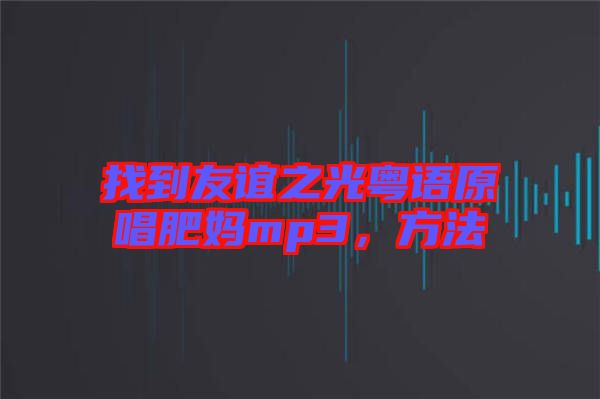 找到友誼之光粵語原唱肥媽mp3,方法