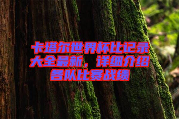 卡塔爾世界杯比記錄大全最新，詳細(xì)介紹各隊(duì)比賽戰(zhàn)績(jī)