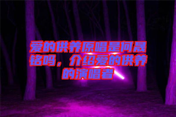 愛的供養(yǎng)原唱是何晟銘嗎,介紹愛的供養(yǎng)的演唱者
