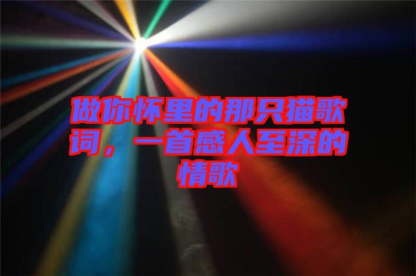 做你懷里的那只貓歌詞,一首感人至深的情歌