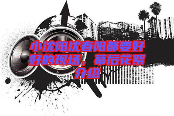 小沈陽沈春陽都要好好的現(xiàn)場,幕后花絮介紹