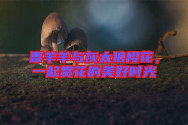 喜羊羊與灰太狼櫻花,一起賞花的美好時(shí)光