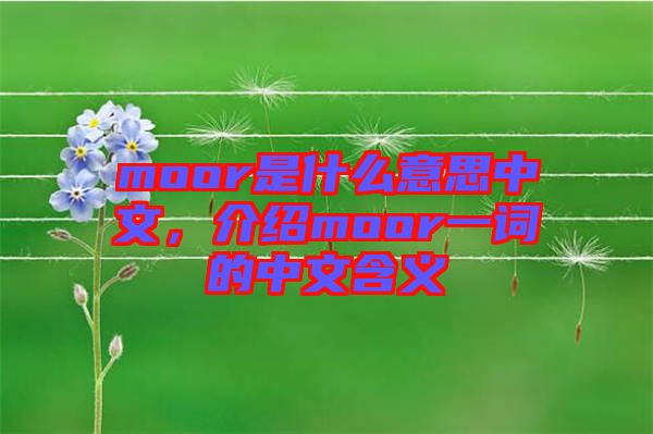 moor是什么意思中文,介紹moor一詞的中文含義