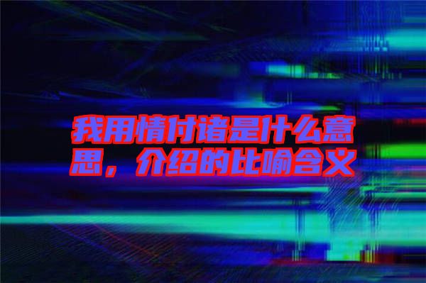 我用情付諸是什么意思,介紹的比喻含義