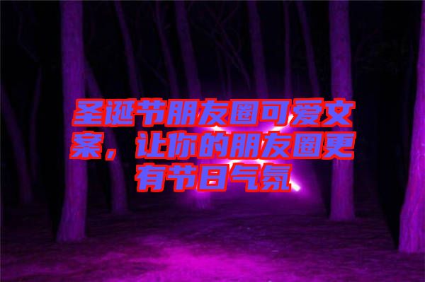 圣誕節(jié)朋友圈可愛文案,讓你的朋友圈更有節(jié)日氣氛