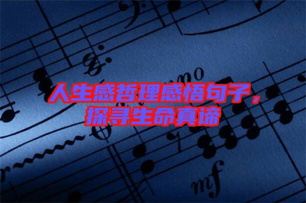 人生感哲理感悟句子,探尋生命真諦