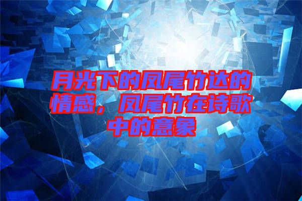 月光下的鳳尾竹達(dá)的情感,鳳尾竹在詩(shī)歌中的意象