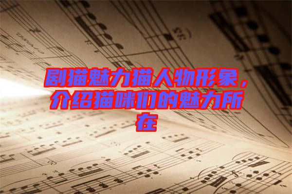 劇貓魅力貓人物形象,介紹貓咪們的魅力所在