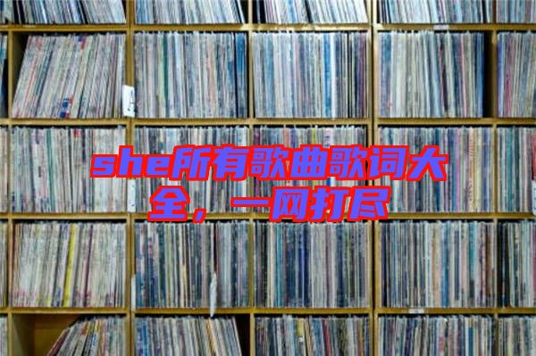 she所有歌曲歌詞大全,一網打盡