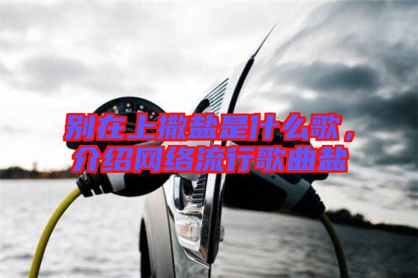 別在上撒鹽是什么歌,介紹網(wǎng)絡(luò)流行歌曲鹽