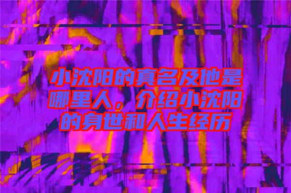 小沈陽的真名及他是哪里人,介紹小沈陽的身世和人生經歷