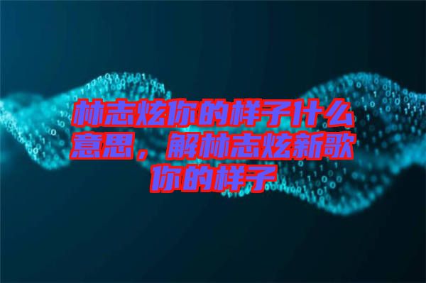 林志炫你的樣子什么意思,解林志炫新歌你的樣子