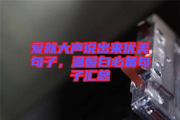 愛就大聲說出來優(yōu)美句子,溫馨白必備句子匯總