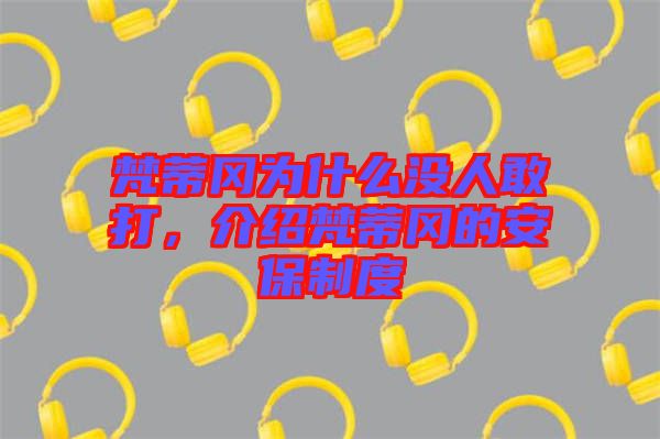 梵蒂岡為什么沒人敢打,介紹梵蒂岡的安保制度