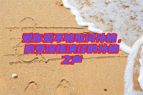 愛你愛不夠歌詞孫楠,感受深情演繹的孫楠之聲