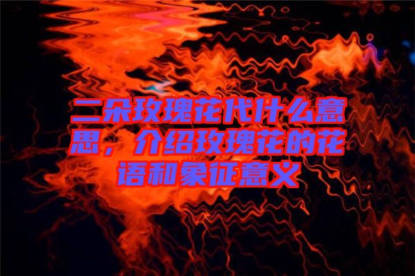 二朵玫瑰花代什么意思,介紹玫瑰花的花語和象征意義