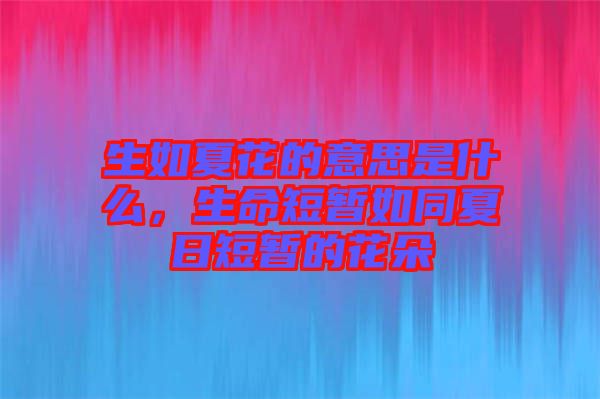 生如夏花的意思是什么,生命短暫如同夏日短暫的花朵