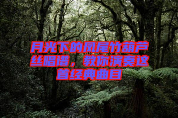 月光下的鳳尾竹葫蘆絲唱譜，教你演奏這首經典曲目